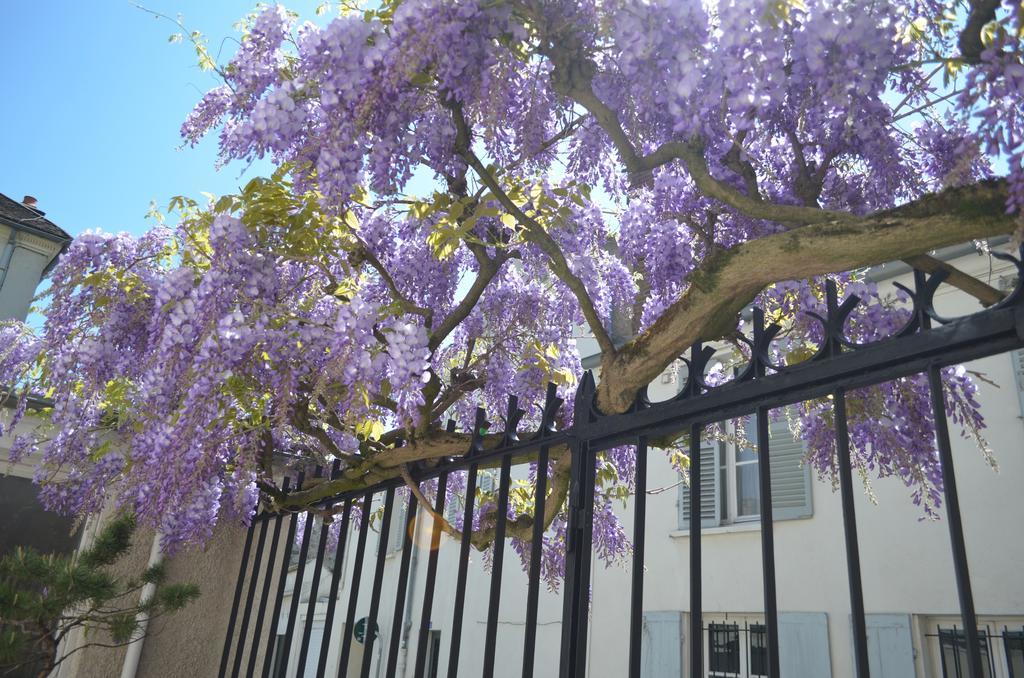 Wisteria Bed and Breakfast Fontainebleau Exteriör bild